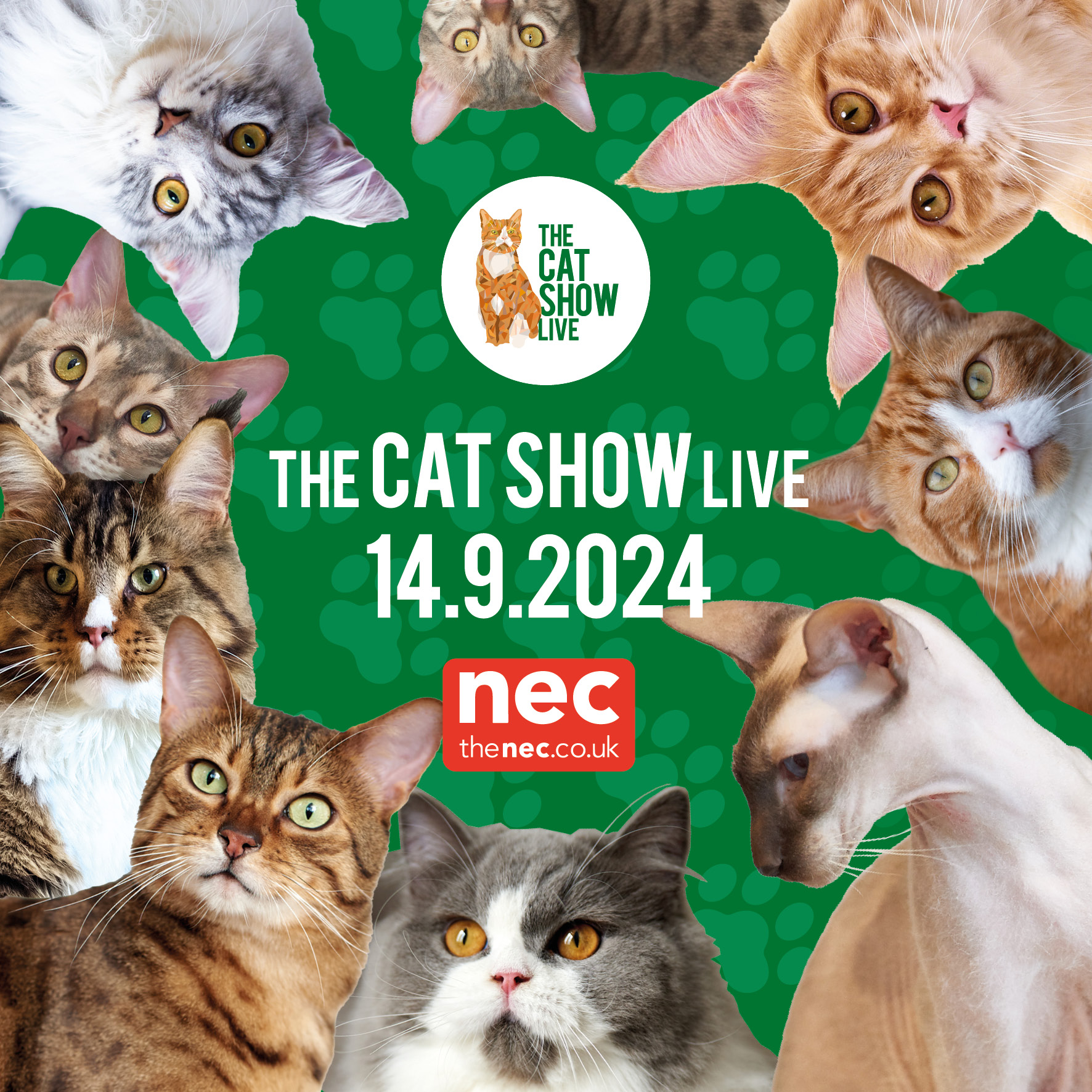 The Cat Show Live