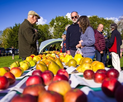 Brightwell cum Sotwell Apple Day