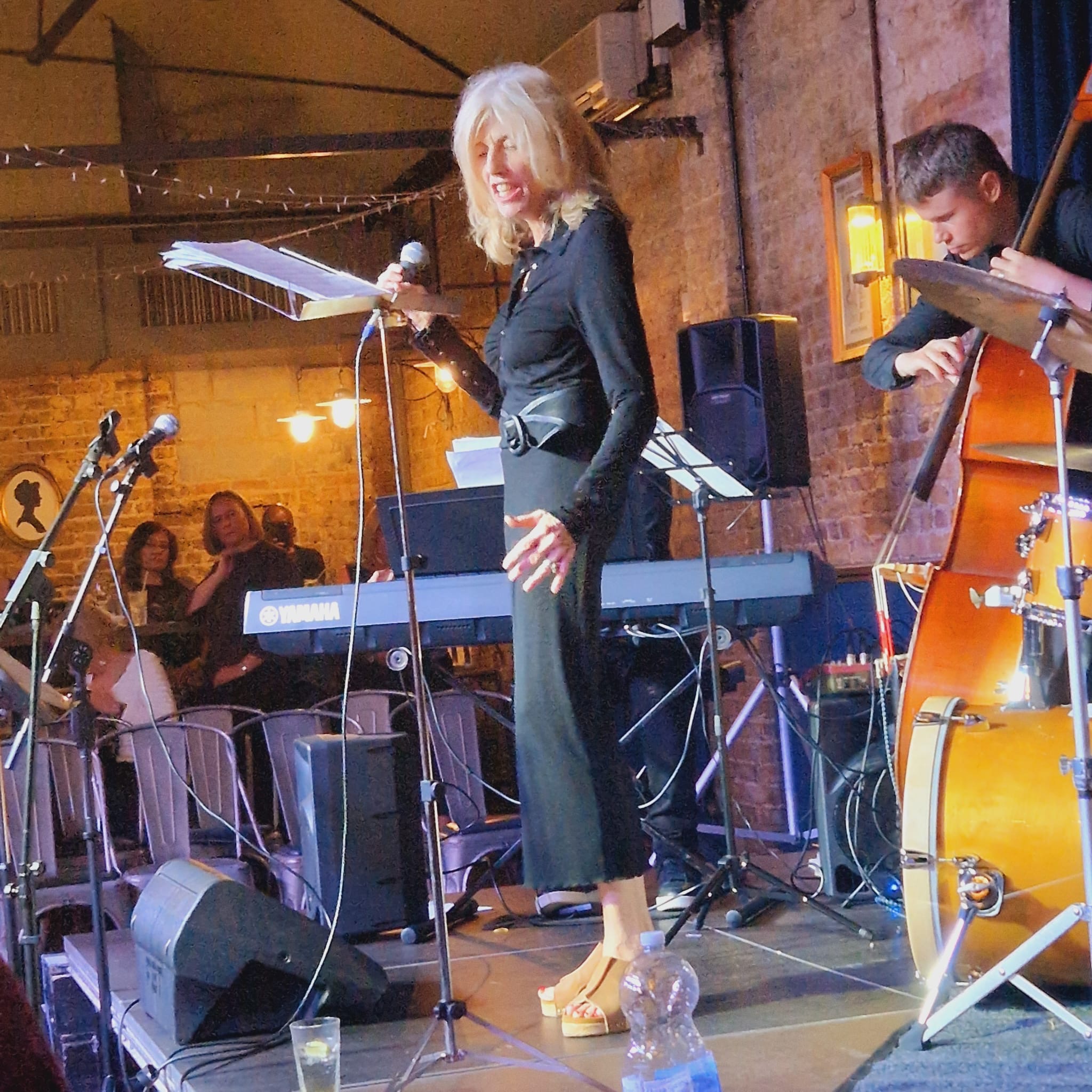 Gill Cook jazz and blues trio