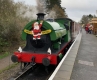 Northampton and Lamport Railway - Santa Paws