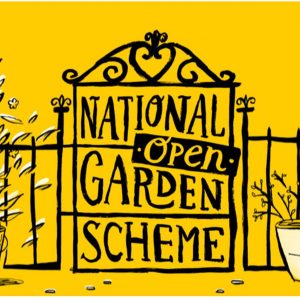 Benvarden Gardens - Open Garden for NGS