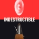 Indestructible