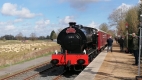 Northampton & Lamport Railway - Cream Tea Specials