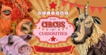 The Circus of Curiosities at Chiddingstone Castle