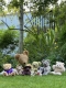 Teddy Bear&rsquo;s Picnic at Turn End