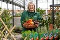 Free Gardening Workshops: Bury St Edmunds