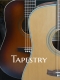 Live Music with Tapestry Duo