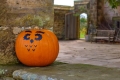 Halloween half term trail at Nymans