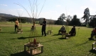 Living Willow Workshop