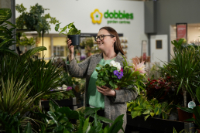 Dobbies&rsquo; Grow How January: Let&rsquo;s talk houseplants