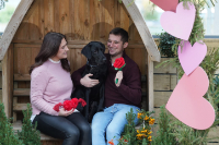 My Paw-fect Valentine at Dobbies