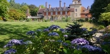 Half Term at Standen: Tawny Owl Wood workshop and Finding the Old Oak