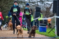 Run Reigate Trail Run and Canicross at Gatton Park