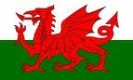 Saint David&rsquo;s Day