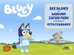 Come and see Bluey 19th February!