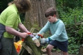 Growing Wild Forest School – Home Educator Group