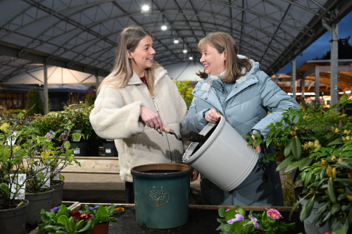 Dobbies&rsquo; Mother&rsquo;s Day Planting & Afternoon Tea Experience